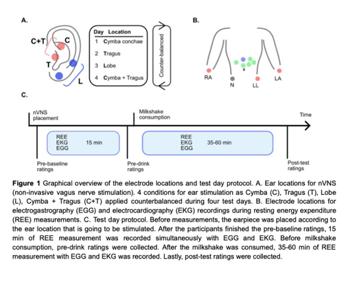 Non-invasive vagus nerve stimulation in a hungry state decreases heart rate variability