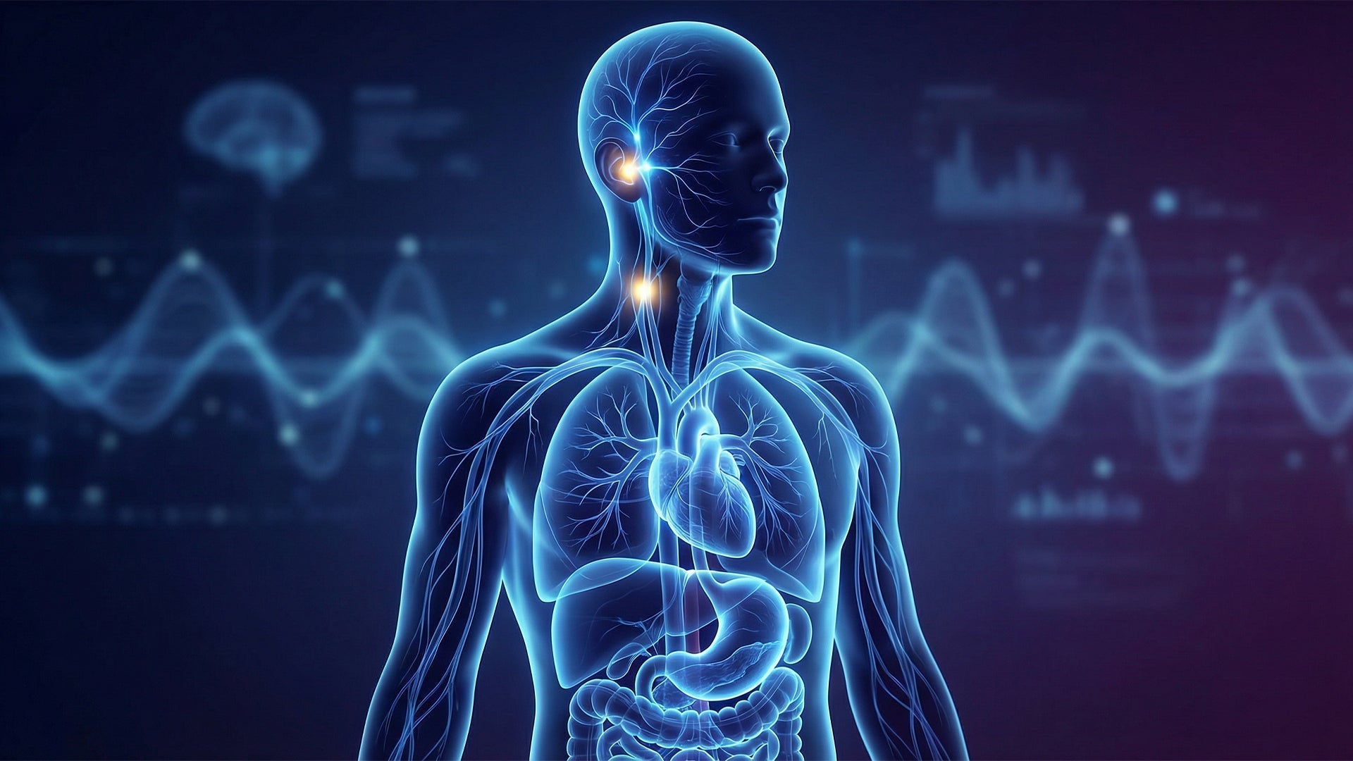 Non-invasive Ear vs. Neck Vagus Nerve Stimulation: What’s the Difference?