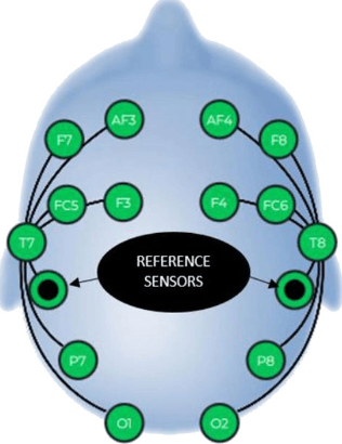 Understanding Auricular VNS: EEG, EMG Effects and Potential