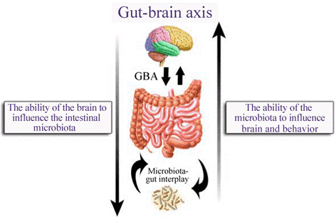 Auricular Vagus Nerve Stimulation: A Game-Changer for IBD Relief