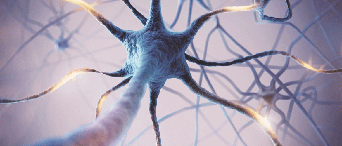 Transcutaneous Auricular Vagus Nerve Stimulation (VNS): A Revolutionary Therapy for Autonomic Disorders