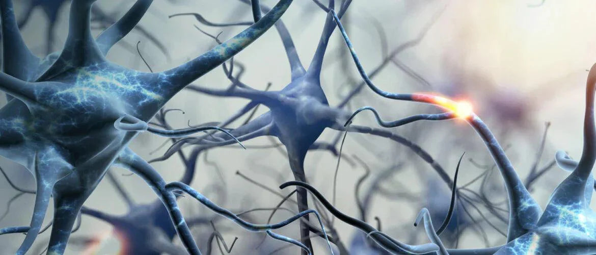 The Impact of Auricular Vagus Nerve Stimulation on Pain and Life Quality in Patients with Fibromyalgia Syndrome